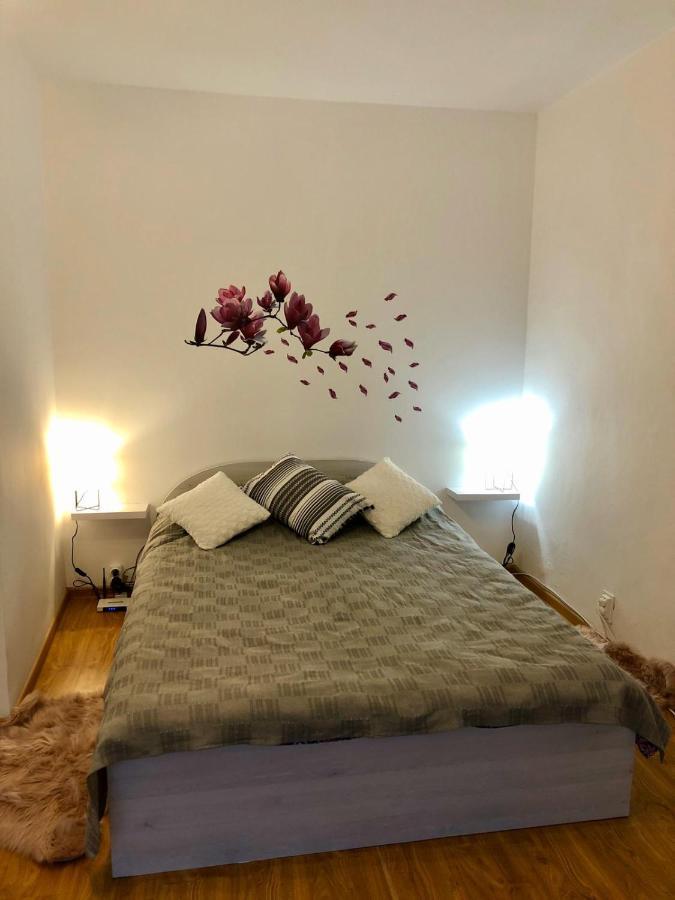 Mia'S House Apartment Pitesti Luaran gambar