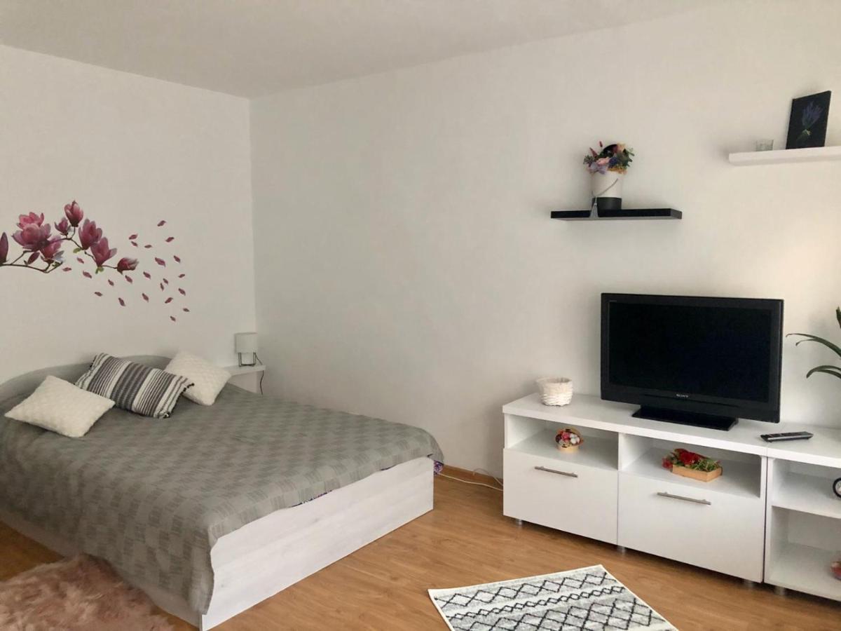 Mia'S House Apartment Pitesti Luaran gambar