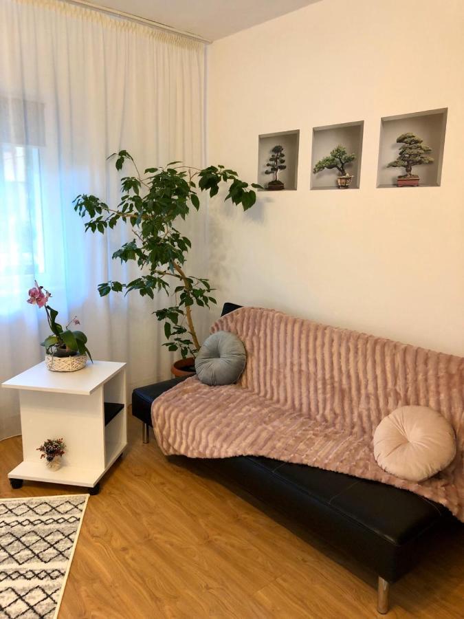 Mia'S House Apartment Pitesti Luaran gambar